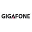 Директором по продажам в компании Gigafone (ЗАО «ГДМ Групп») назначен Александр Кубанеишвили
