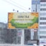 Цветочная компания «Марьина роща» подарила весну регионам