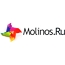 Molinos и E-xecutive стали партнерами
