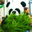 WWF и Ikea знают, как сделать Новый год по-настоящему «зеленым» (Видео)