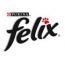 20-летний кот снялся в рекламе корма FELIX от "Нестле"