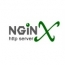 Стартап Nginx привлек крупные инвестиции.
