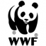Агентство Crème Media «раскрасило» черно-белую панду WWF России