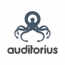 Компания Auditorius представила рынку собственную programmatic-платформу