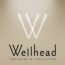 Брендинговое агентство Wellhead провело редизайн логотипа и линейки препаратов для компании «Омега-Дент»