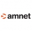 AMNET и NATIVEROLL.TV запускают совместный продукт по закупкам рекламного инвентаря