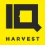 Агентство IQ Harvest провело ребрендинг «Первой образцовой типографии»