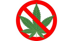 реклама пива на конопле