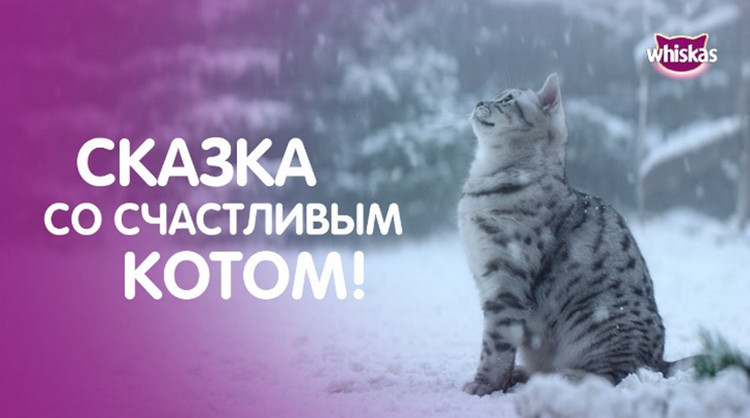 Реклама в России: WHISKAS и BBDO Moscow запустили кампанию «Новогодние  волшебники»