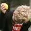 Рекламный ролик McDonald's показал, как фаст-фуд влияет на детей (Видео)