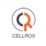 Cellrox привлек 4, 7 млн. долларов инвестиций