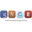 Конференция SNCE: место встречи  для разработчиков игр и приложений