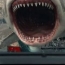 ГИБДД запустило социальную рекламу с акулой