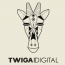 TWIGA Digital: новые горизонты развития